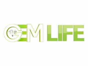 The logo of GEM Life