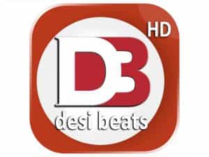 Desi Beats TV logo
